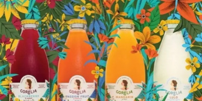 北京果汁包裝設(shè)計(jì)賞析