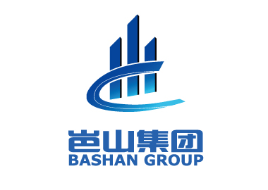 岜山集團(tuán)品牌形象LOGO/VI設(shè)計