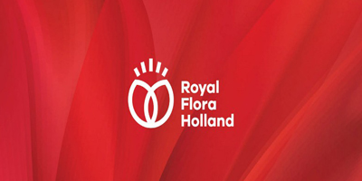 怎么才能做好北京企業(yè)vi設(shè)計?