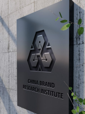 中國(guó)品牌研究院LOGO設(shè)計(jì)