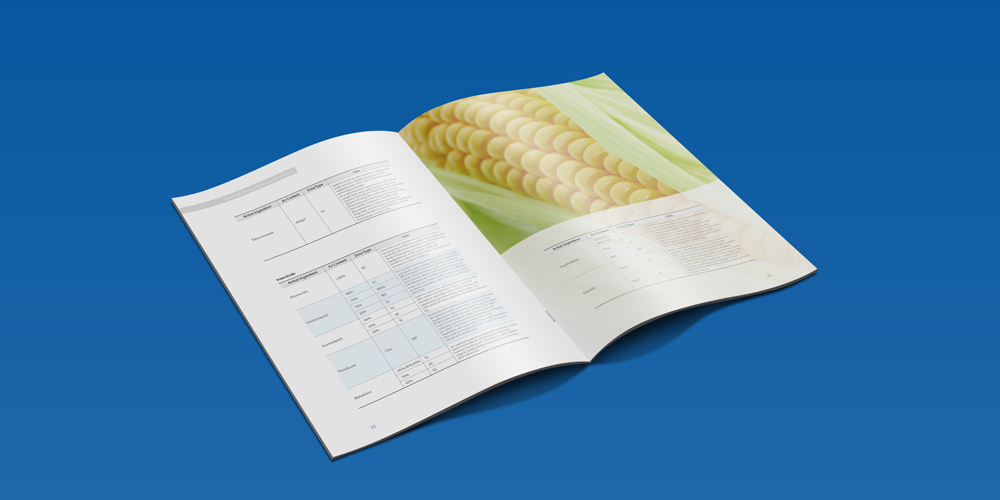 中化農(nóng)業(yè)宣傳冊(cè)設(shè)計(jì)案例展示_北京宣傳冊(cè)設(shè)計(jì)_高瑞品牌