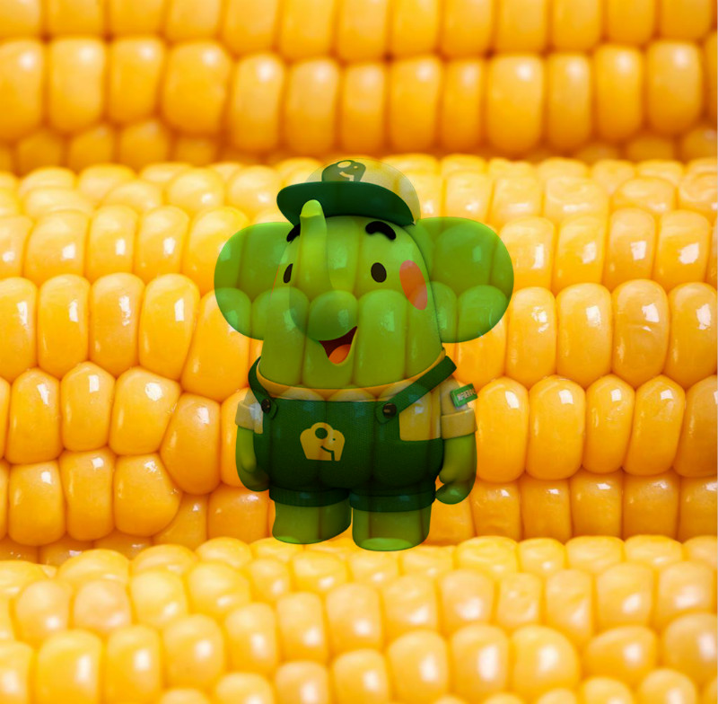 美團(tuán)買菜品牌吉祥物小綠象應(yīng)用效果_高瑞品牌